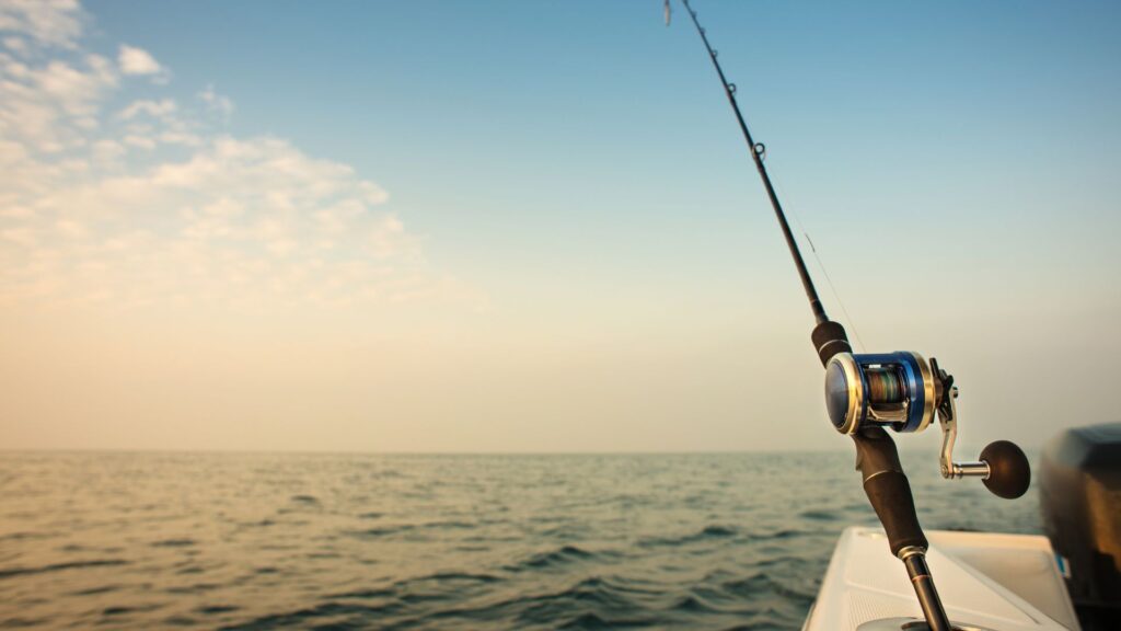 Pesca da diporto sportiva Cilento